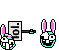 :hase1: