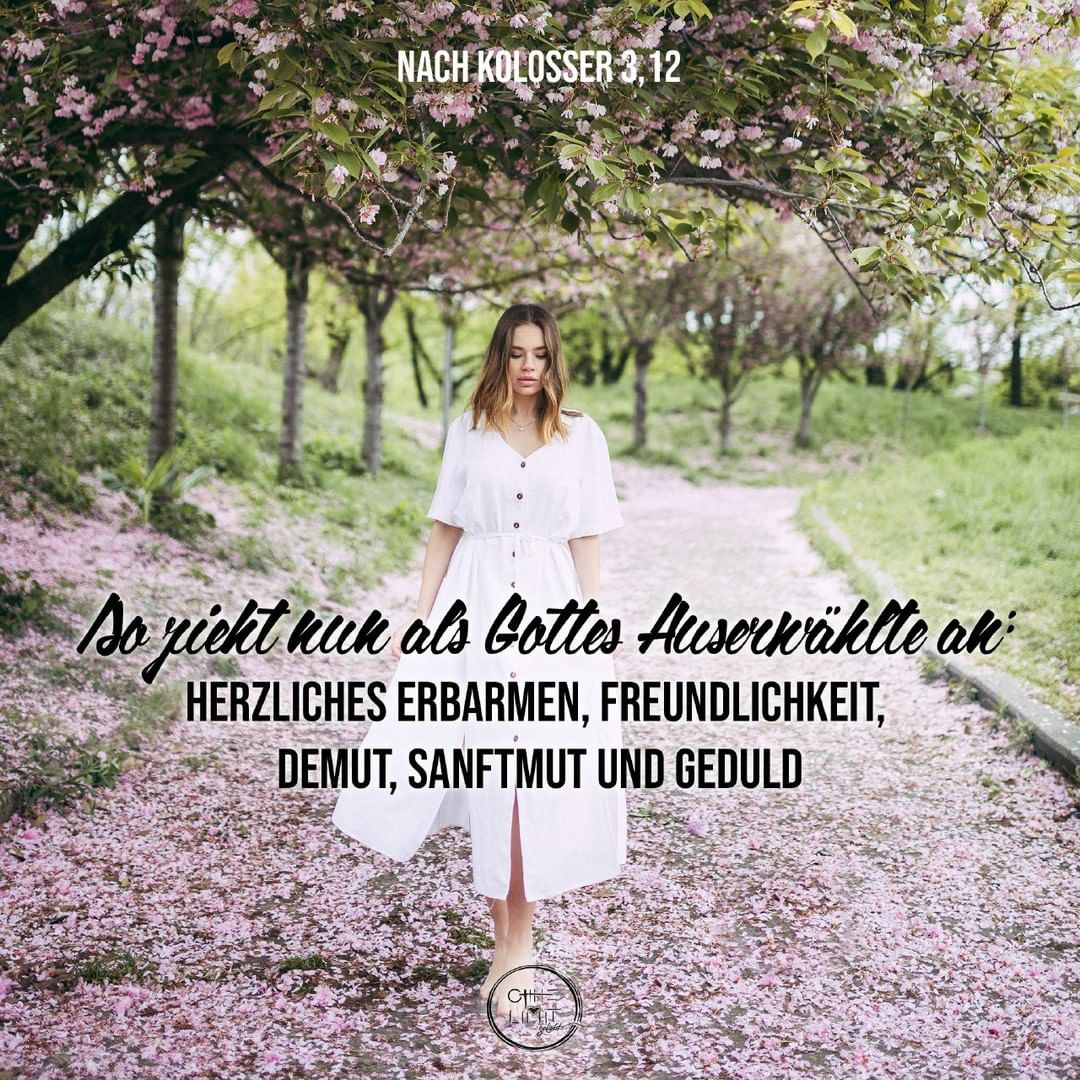 84632788_206492183737047_8201972173244523439_n.jpg_nc_htscontentfrt32.cdninstagram