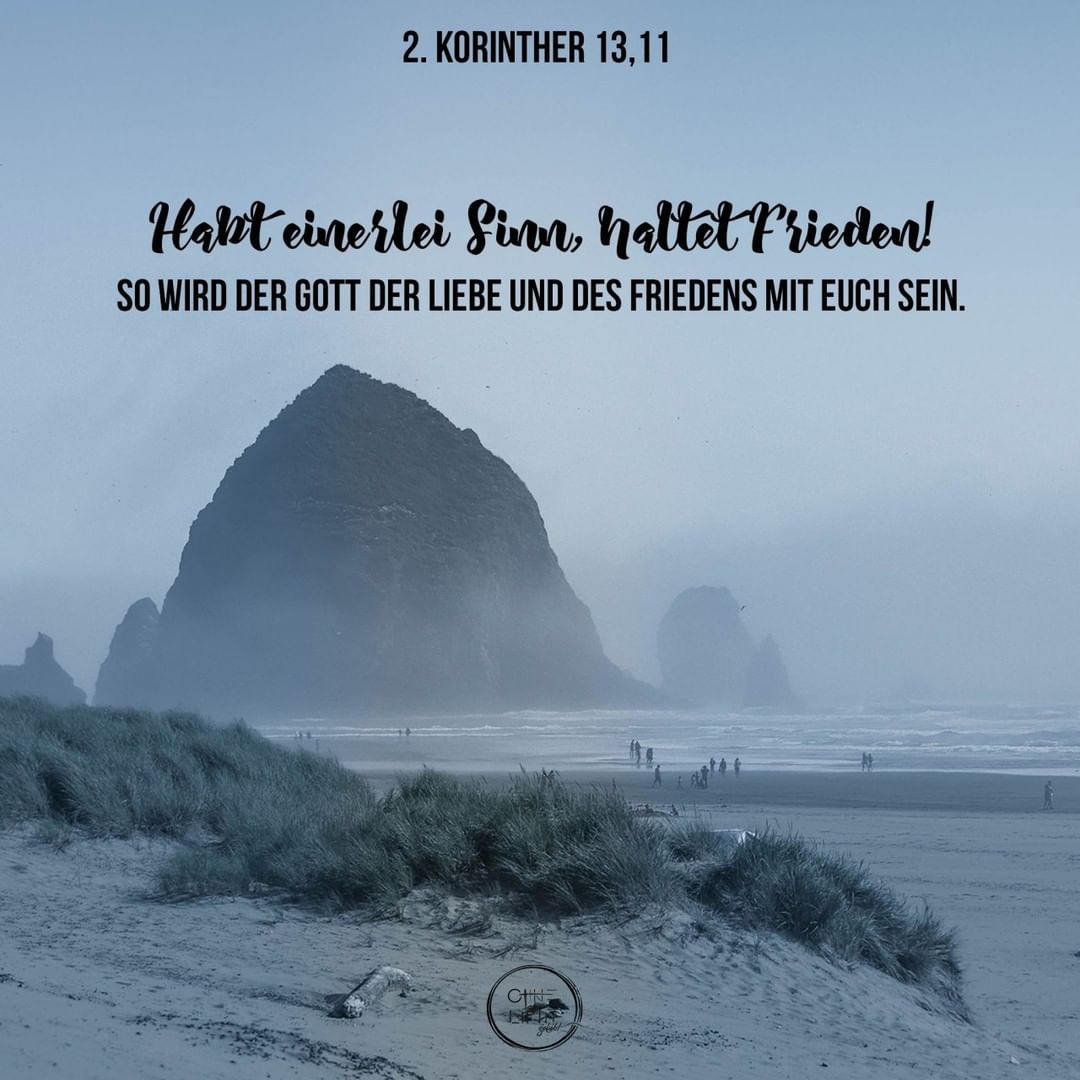 91714432_573568856913846_8463616353847445617_n.jpg_nc_htscontentfrt32.cdninstagram