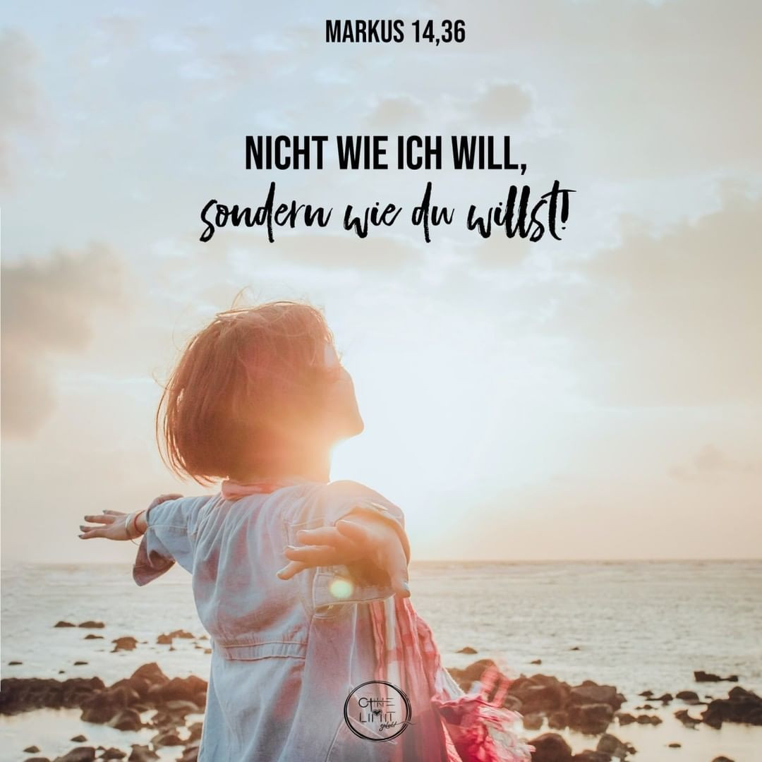 167217792_1659289334458868_8915263200171208117_n.jpgtp1_nc_htinstagram.fdtm21.fna.fbcdn