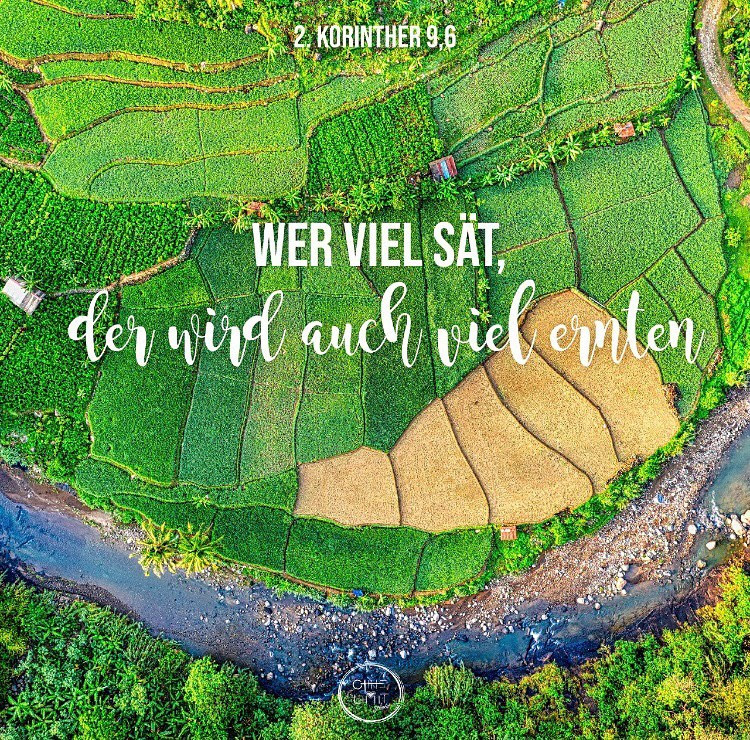 85072185_170933034330912_9200484013224617962_n.jpg_nc_htscontentfrt32.cdninstagram