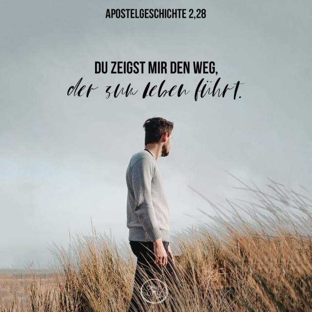 83986911_227551705041840_4096149343121345606_n.jpg_nc_htscontentfrt32.cdninstagram