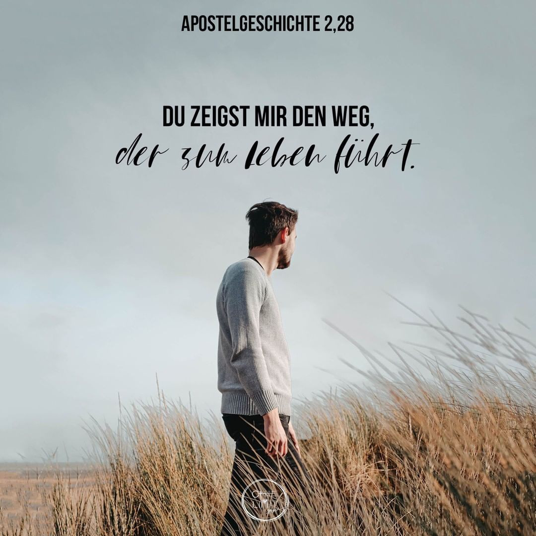 83986911_227551705041840_4096149343121345606_n.jpg_nc_htscontentfrt32.cdninstagram