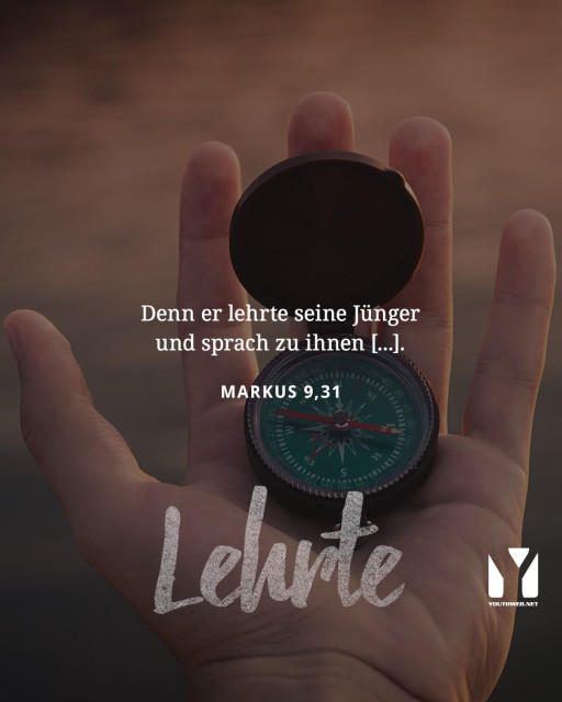 41573271_470676883452012_3922128500844156600_n